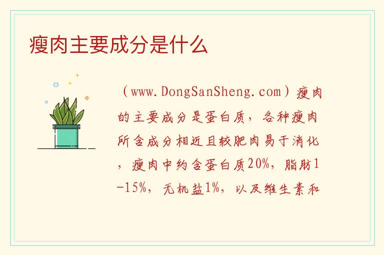 瘦肉主要成分是什么 