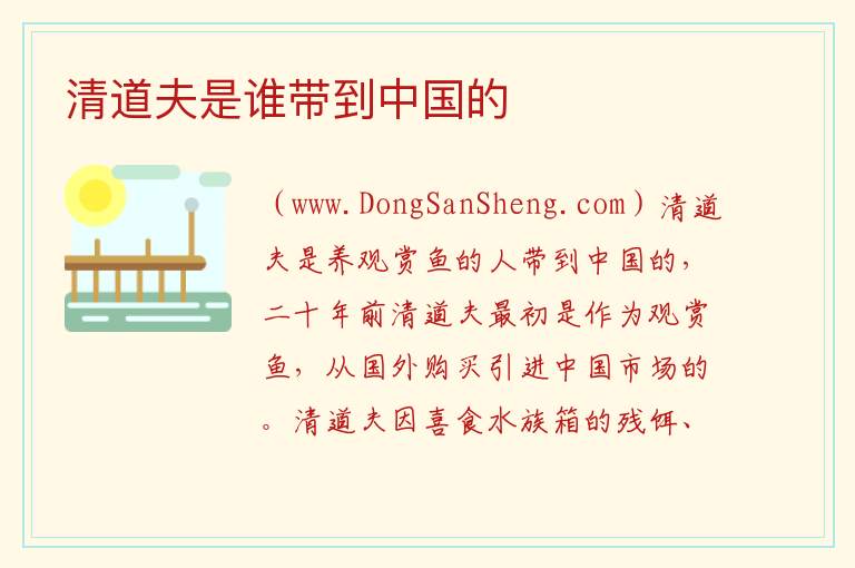 谁把清道夫弄到中国的，谁把清道夫弄到中国的