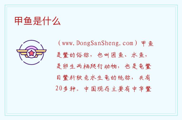 甲鱼是什么 
