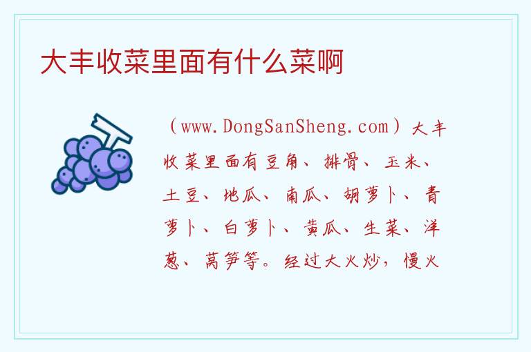 大丰收菜里面有什么菜啊 