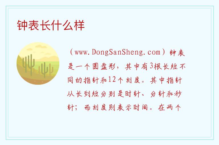 钟表长什么样 