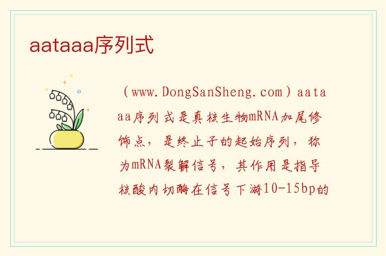 aataaa序列式 