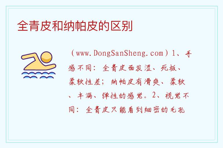 全青皮和纳帕皮的区别 