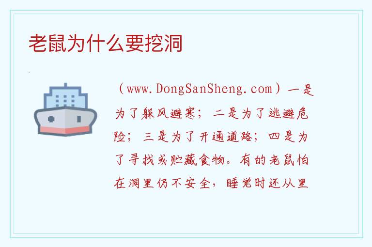 老鼠为什么要挖洞 
