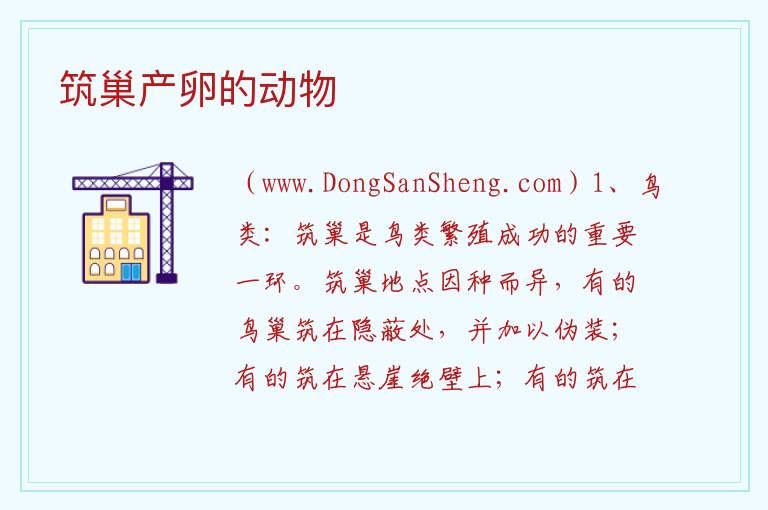 筑巢产卵的动物 