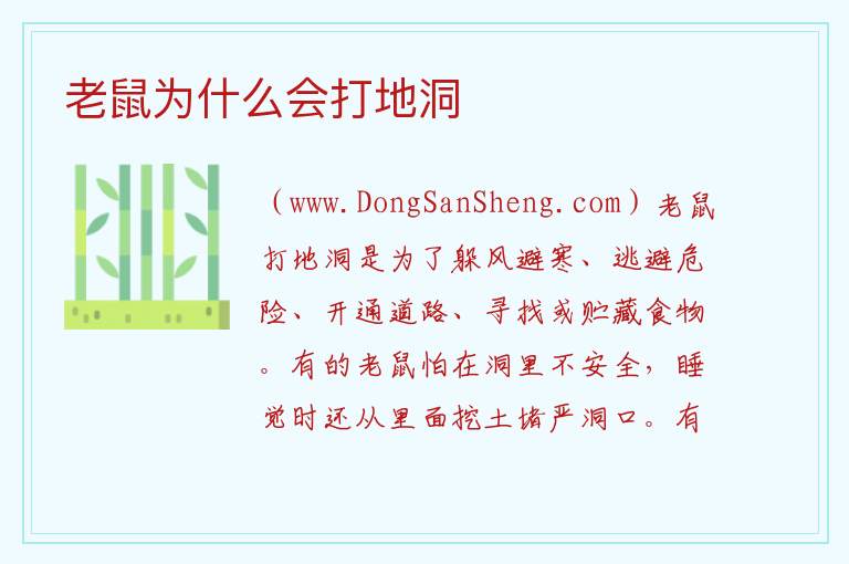 老鼠为什么会打地洞 老鼠爬到枕头旁边预示什么