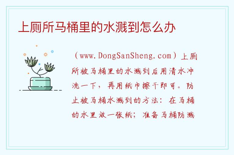 上厕所马桶里的水溅到怎么办 