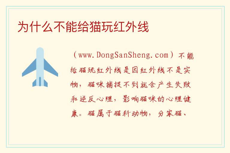 为什么不能给猫玩红外线 