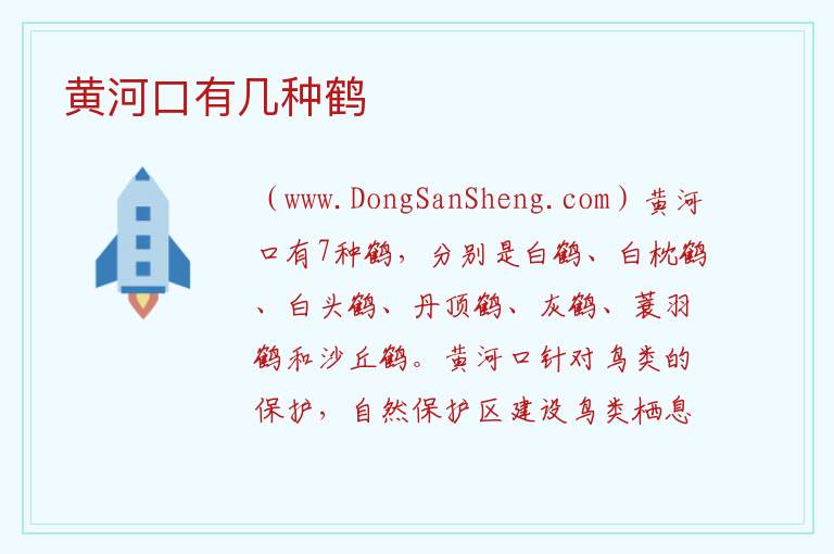 黄河口有几种鹤 