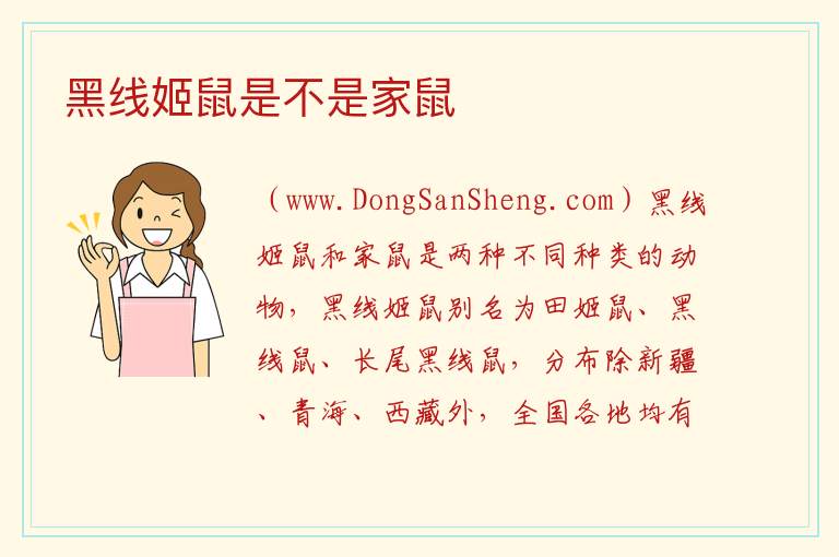 黑线姬鼠是不是家鼠 