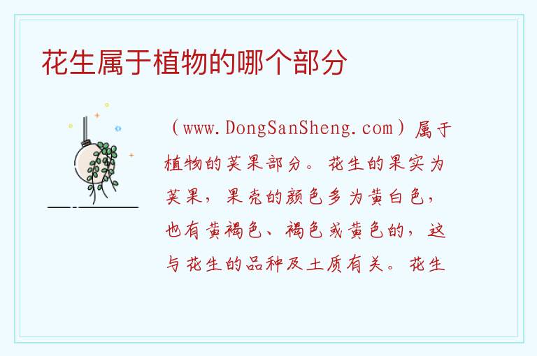 花生属于植物的哪个部分 