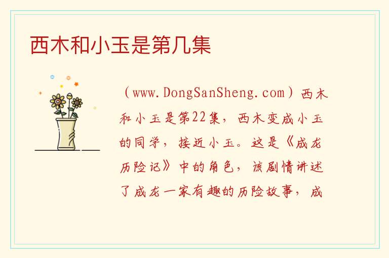 西木和小玉是第几集 