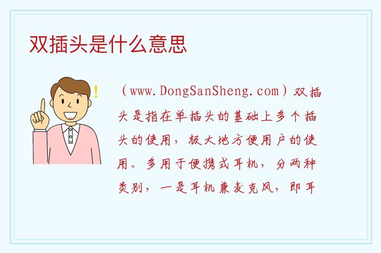 双插头是什么意思 
