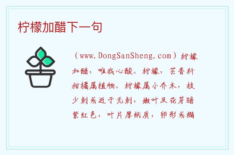 柠檬加醋下一句 