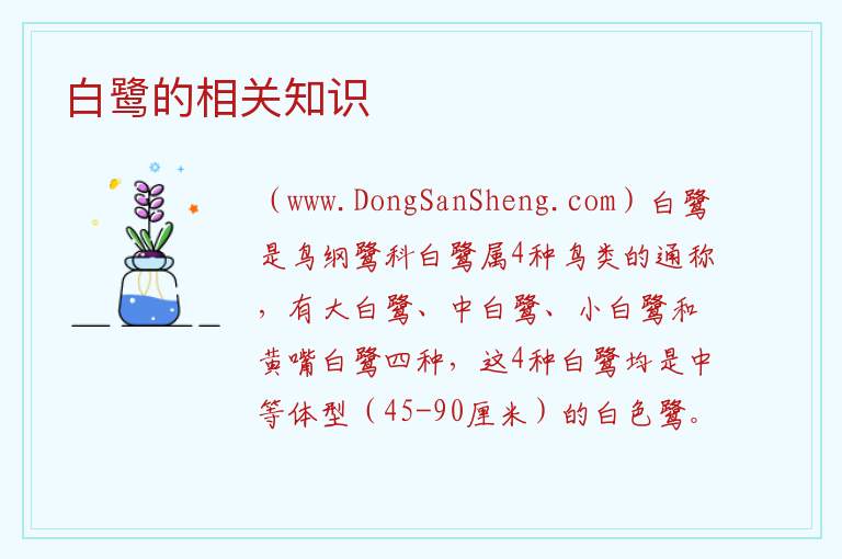 白鹭的相关知识 