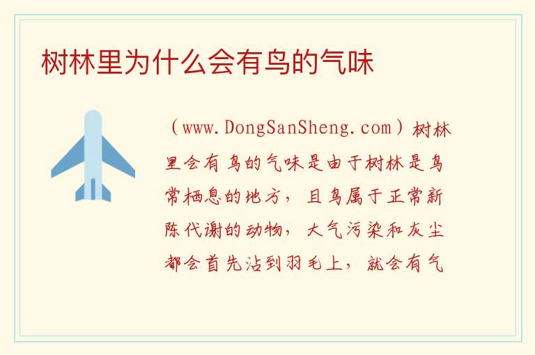 树林里为什么会有鸟的气味 