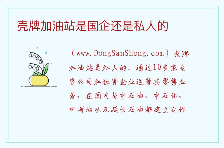 壳牌加油站是国企还是私人的 