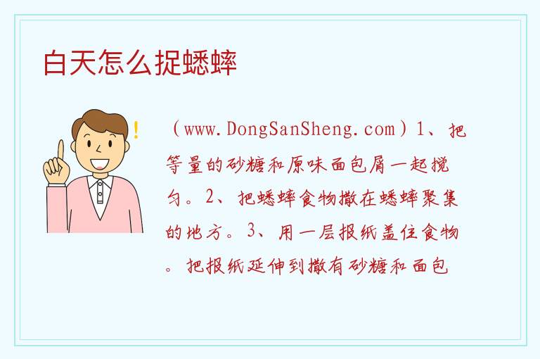 白天怎么捉蟋蟀 