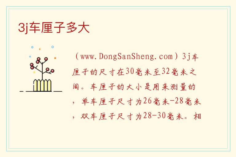 3j车厘子多大 