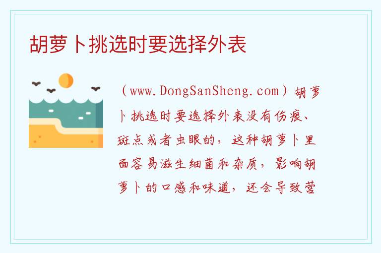 胡萝卜挑选时要选择外表 