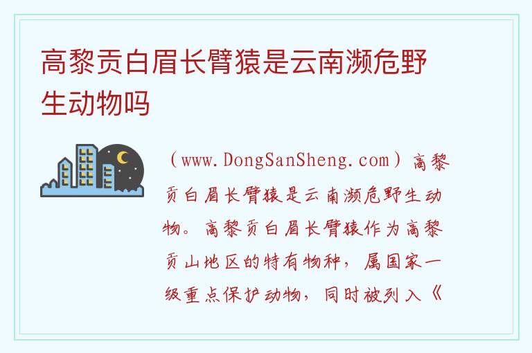 高黎贡白眉长臂猿是云南濒危野生动物吗 高黎贡白眉长臂猿属于几级