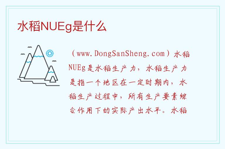 水稻NUEg是什么 