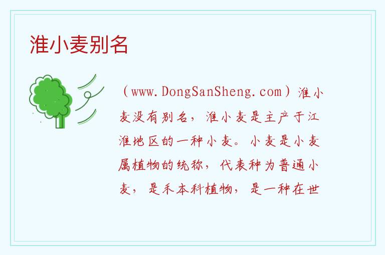 淮小麦别名 