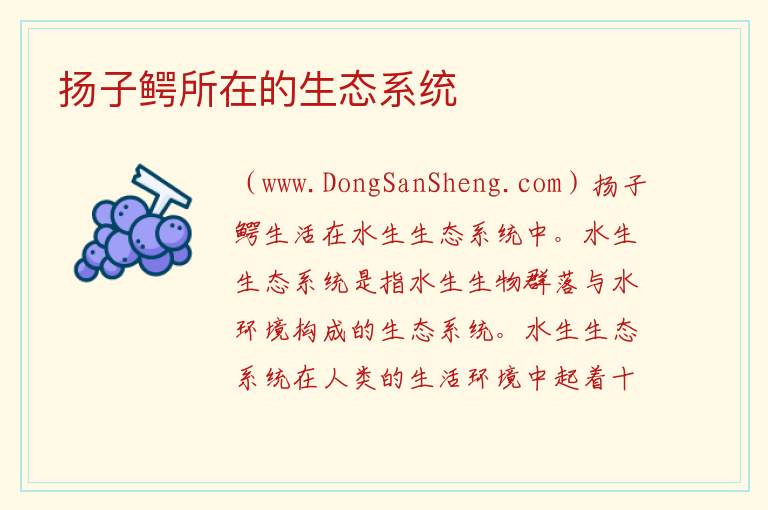 扬子鳄所在的生态系统 