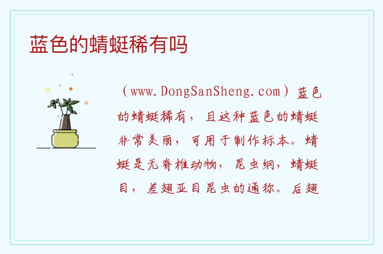 蓝色的蜻蜓稀有吗 