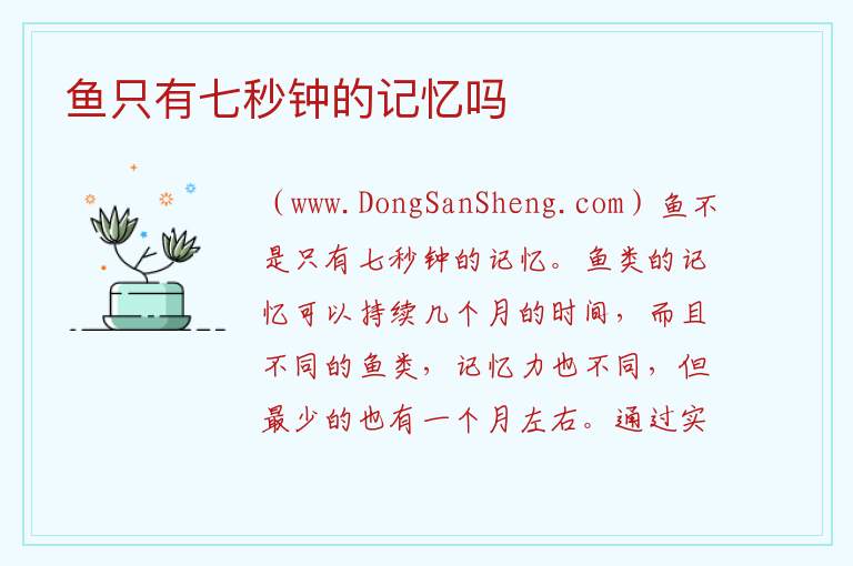 鱼只有七秒钟的记忆吗 鱼真的只有七秒钟吗