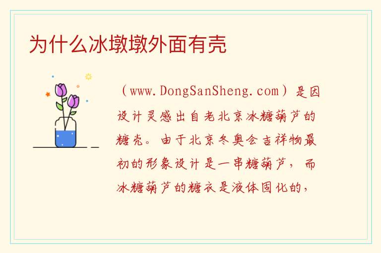 为什么冰墩墩外面有壳 