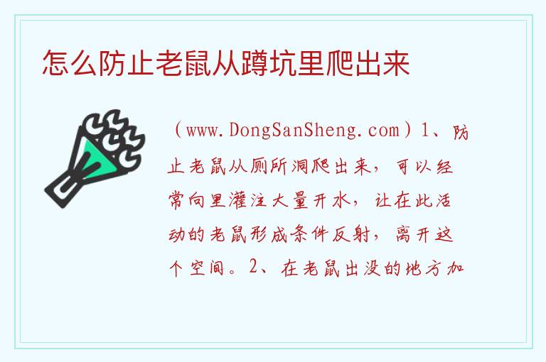 怎么防止老鼠从蹲坑里爬出来 