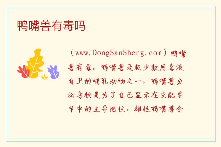 鸭嘴兽有毒吗 