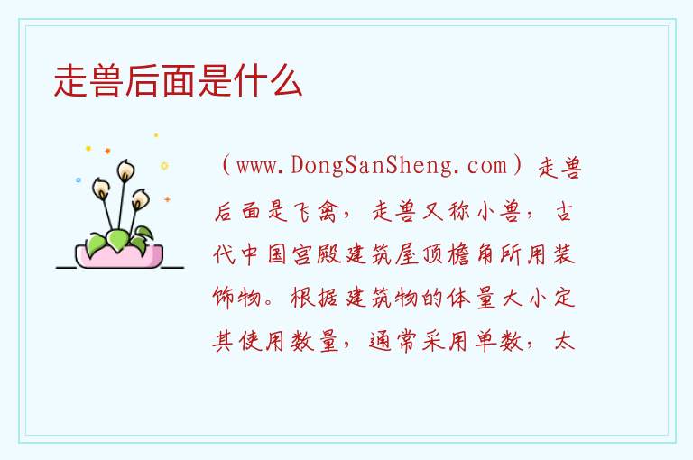 走兽后面是什么 