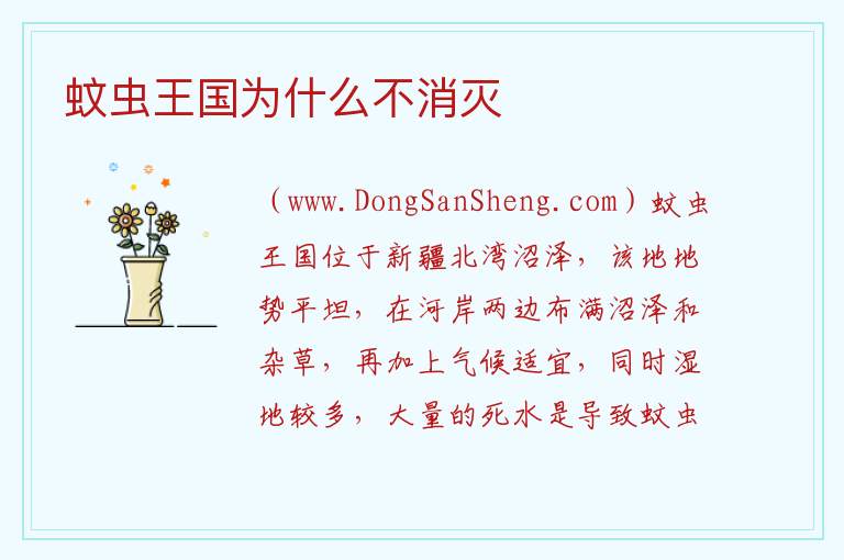 蚊虫王国为什么不消灭 