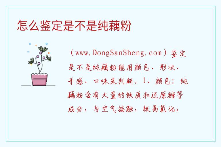 怎么鉴定是不是纯藕粉 