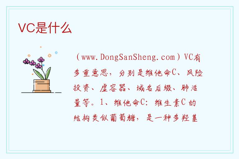 VC是什么 