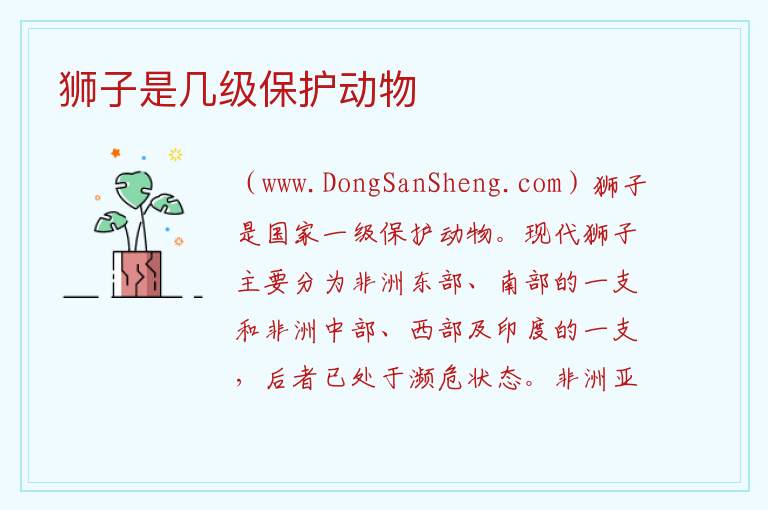狮子是几级保护动物 