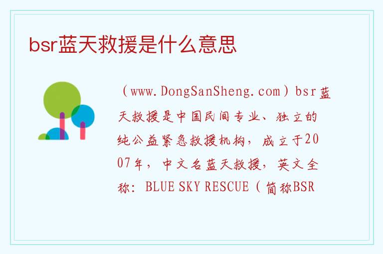 bsr蓝天救援是什么意思 
