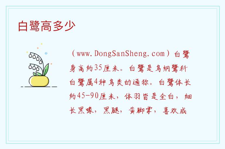 白鹭高多少 