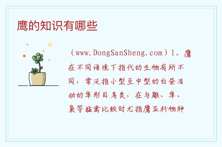 鹰的知识有哪些 
