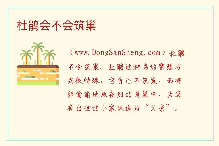 杜鹃会不会筑巢 