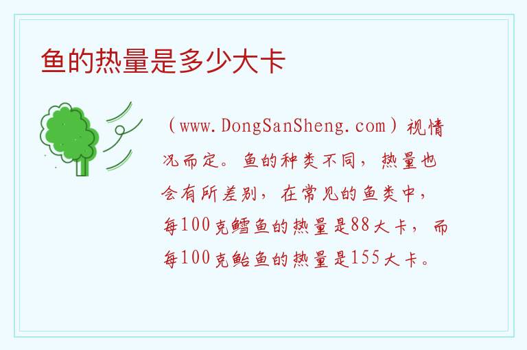 鱼的热量是多少大卡 