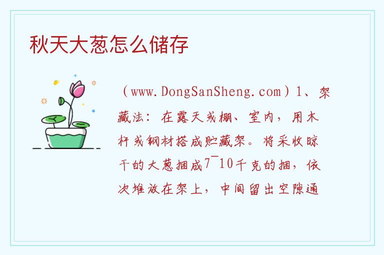 秋天大葱怎么储存 