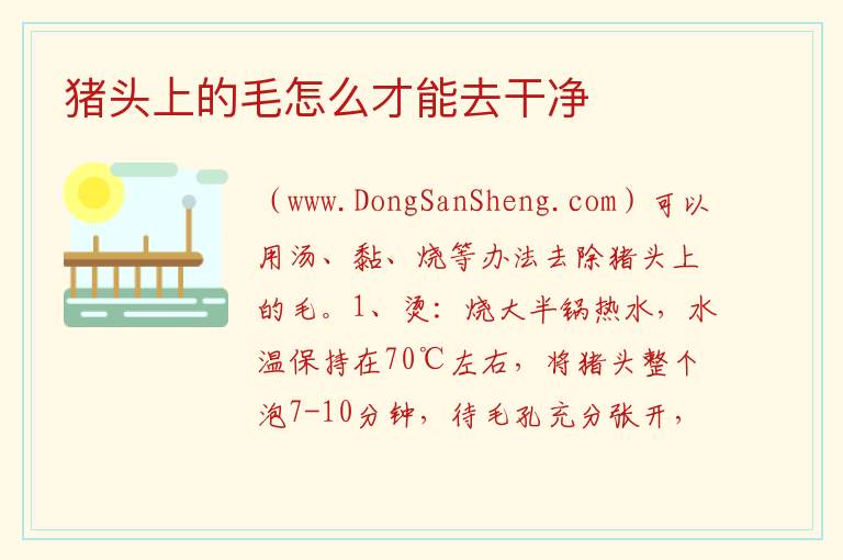猪头上的毛怎么才能去干净 