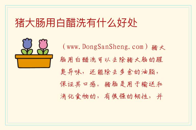 猪大肠用白醋洗有什么好处 