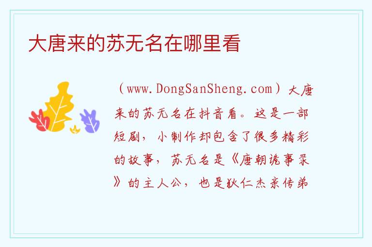 大唐来的苏无名在哪里看 