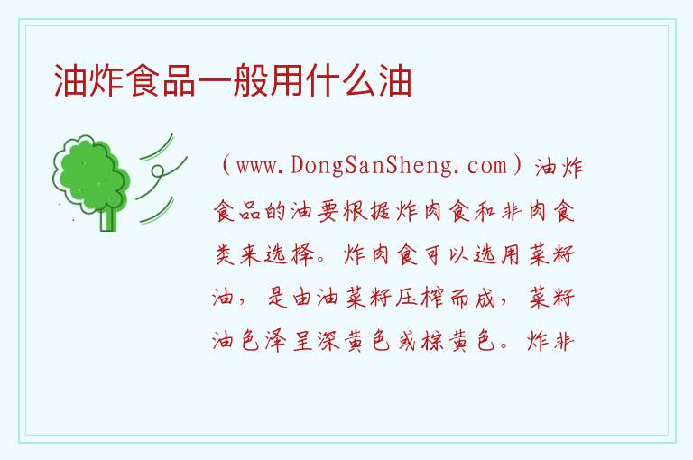 油炸食品一般用什么油 