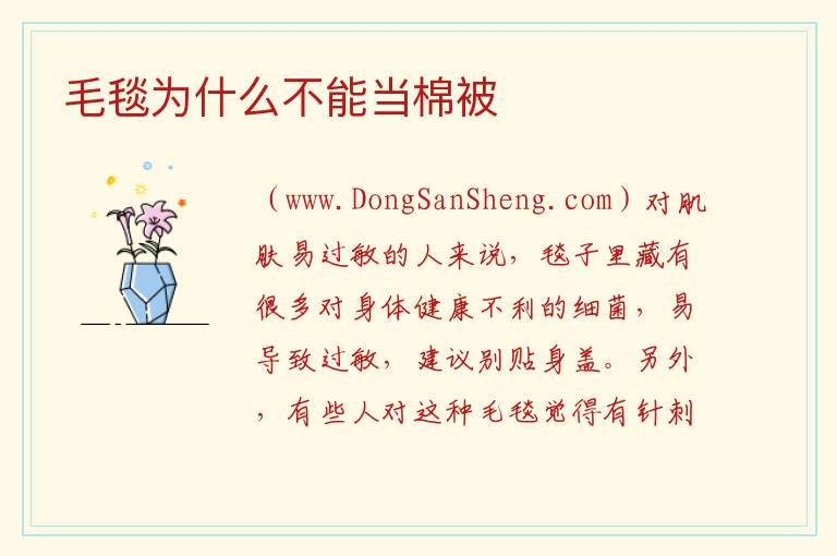 毛毯为什么不能当棉被 