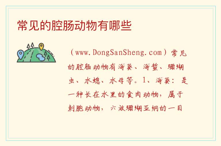 常见的腔肠动物有哪些 